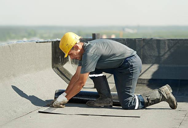 Best Residential Insulation in Elm Grove, WI