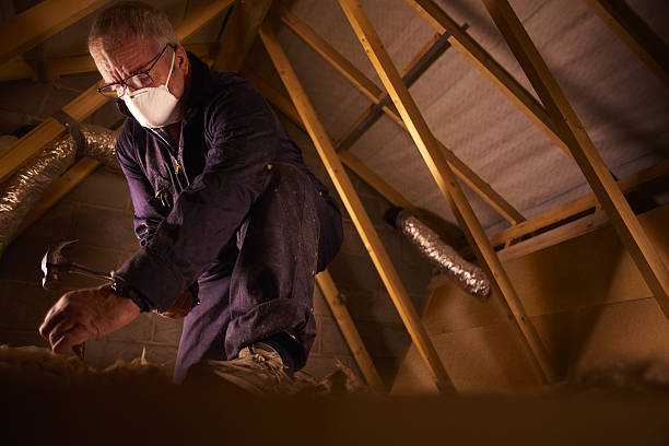Best Insulation Installation Services in Elm Grove, WI